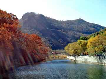 澳门今晚一肖必中特，石家庄岩棉保温板